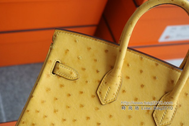 Hermes女包 愛馬仕Brikin 9D Amber琥珀黃銀扣 Hermes鉑金鴕鳥皮手提包  tdh2256